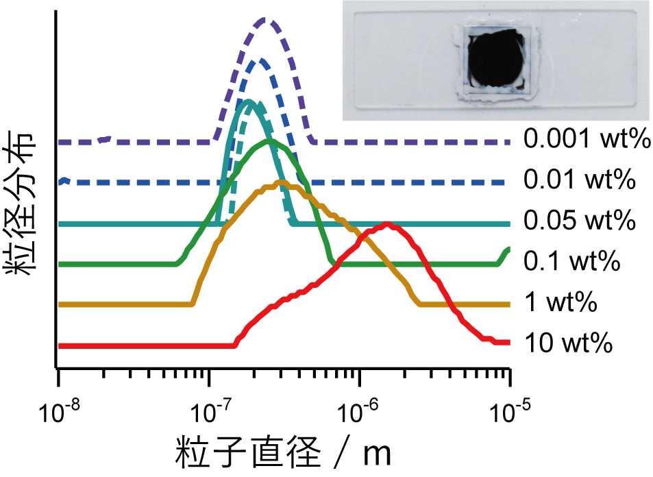 顕微動的光散乱の測定例（墨汁）